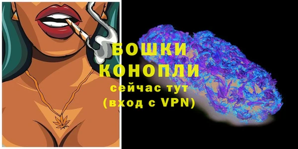 ешки Аркадак