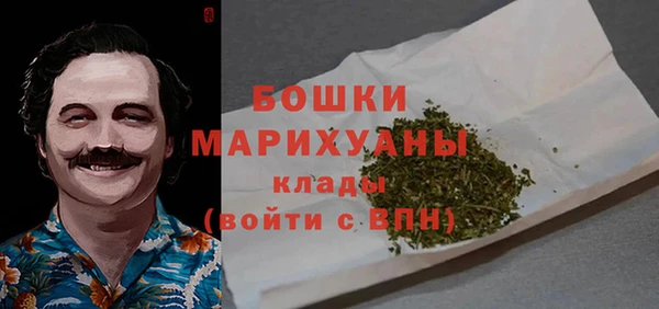 сатива Абинск