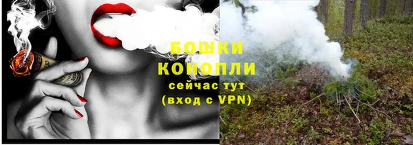 ешки Аркадак