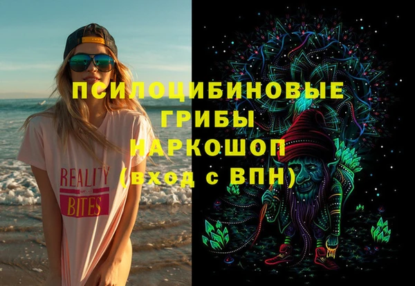 герыч Алексин