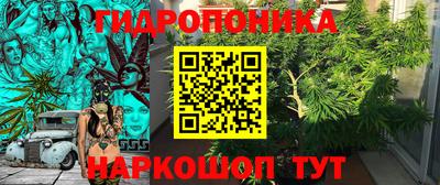 a pvp Свободный