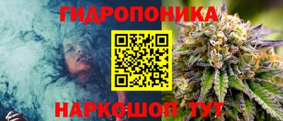 амф Северобайкальск