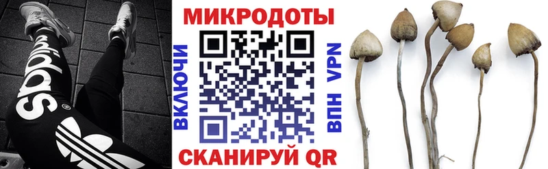 Псилоцибиновые грибы Psilocybine cubensis  Тверь 