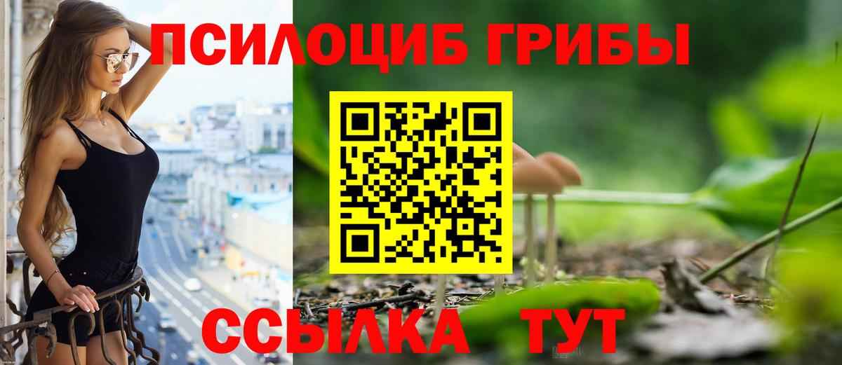 Псилоцибиновые грибы прущие грибы  Вход с VPN  Тверь 